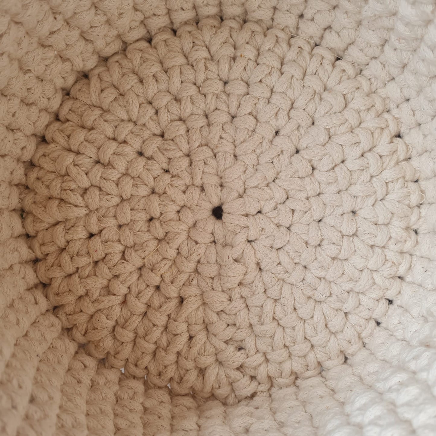 Taller de Cesto a Crochet