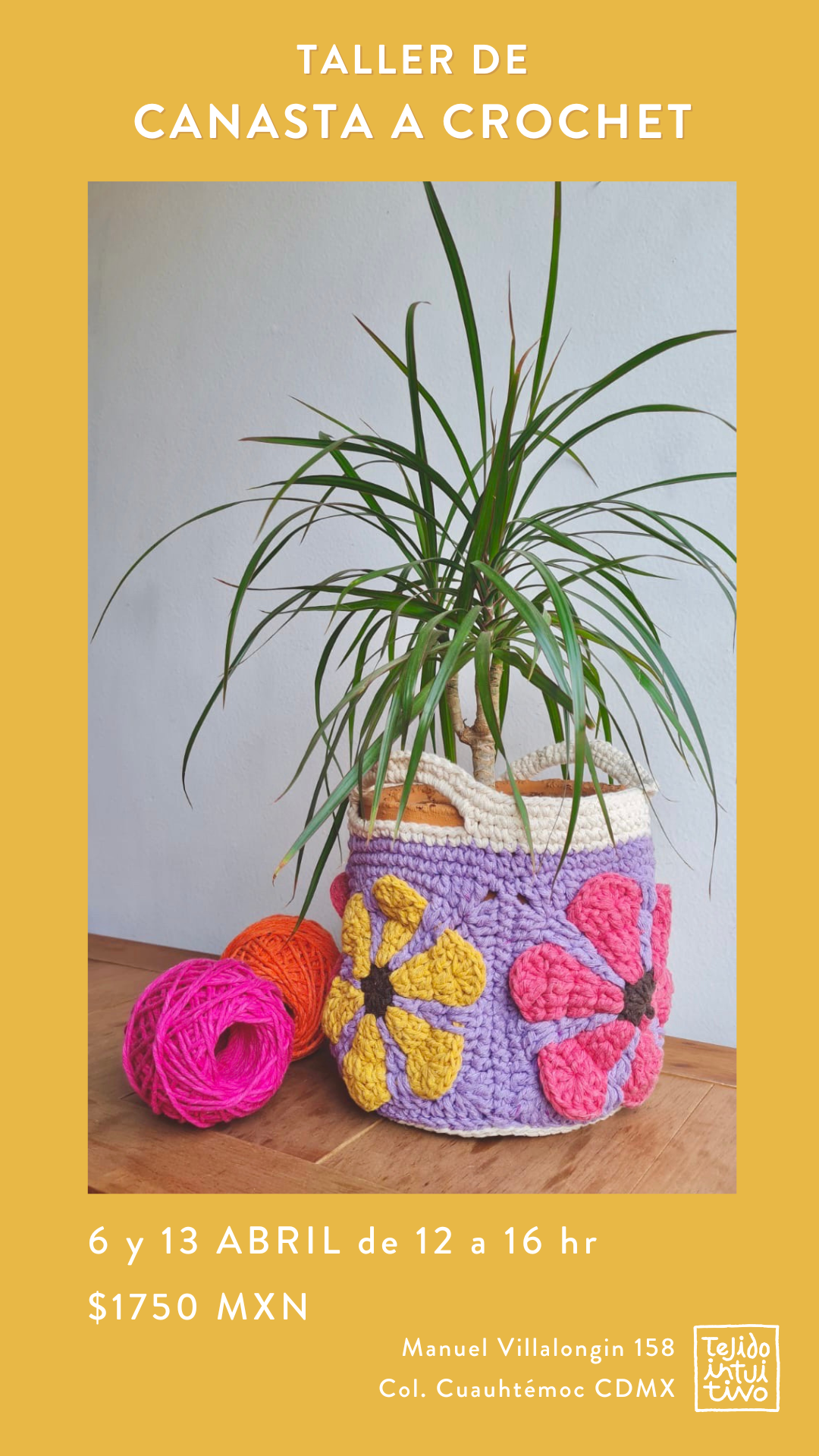 Taller de Canasta a Crochet